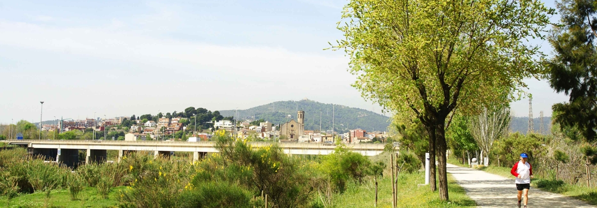 renaturalización de los espacios veredes urbanos de Sant Boi de Llobregat