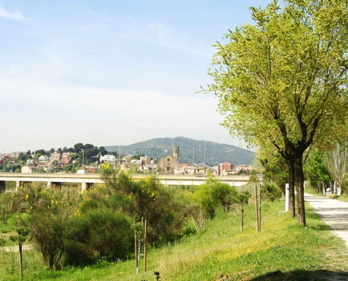 renaturalización de los espacios veredes urbanos de Sant Boi de Llobregat