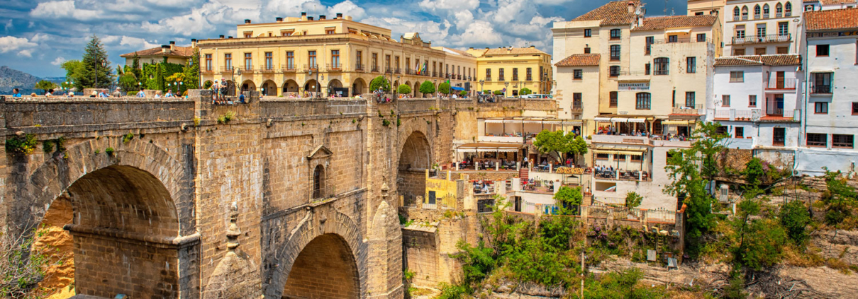 renovación contrato zonas verdes ronda