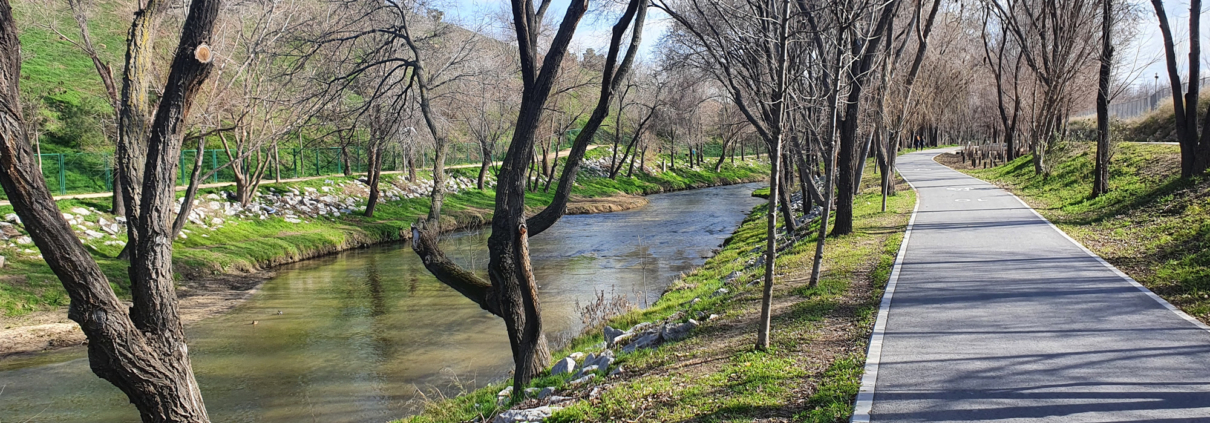 Madrid adjudica a Grupo Raga un contrato de mejora del alcantarillado y drenaje