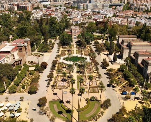 Grupo Raga la restauración de la jardinería de la Plaza de América en el Parque de María Luisa de Sevilla